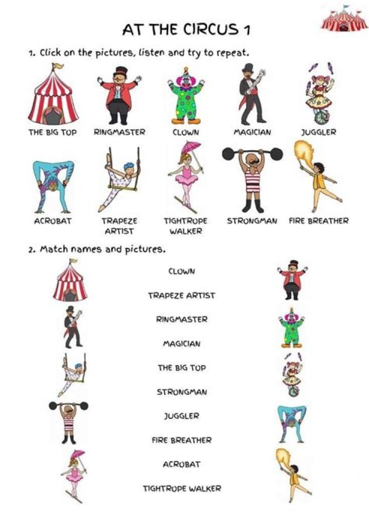A Comprehensive Guide To Circus Names