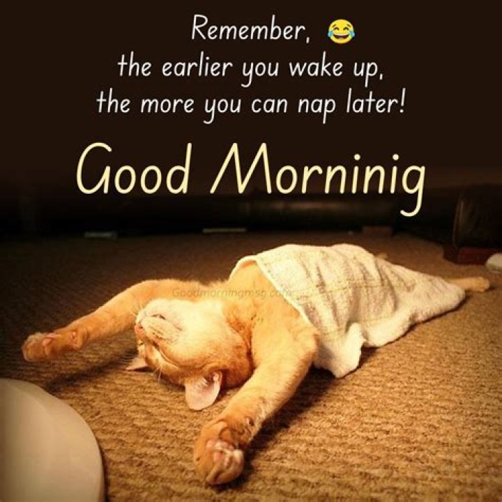 Funny Good Morning Memes