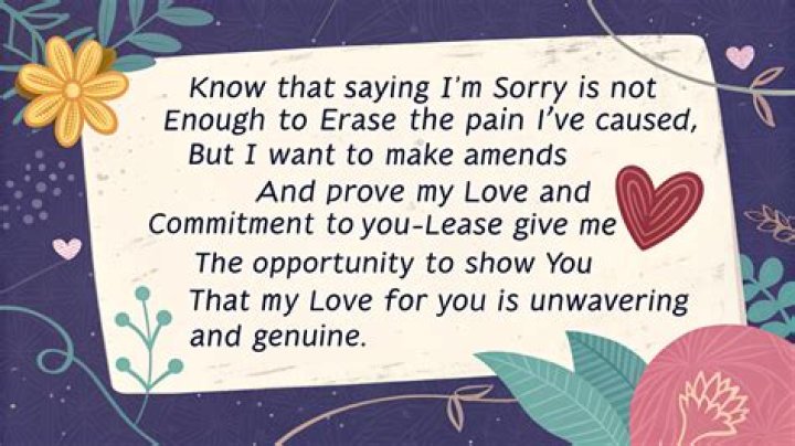 I'm Sorry Paragraph To Gf
