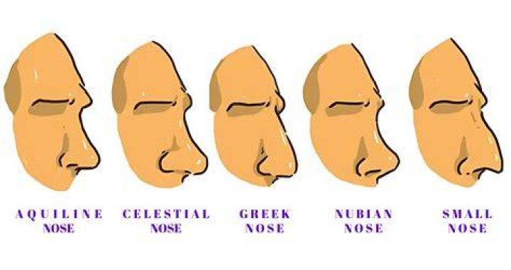 Nose Types Names