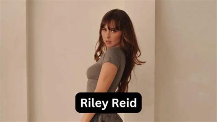 Riley Reed Net Worth