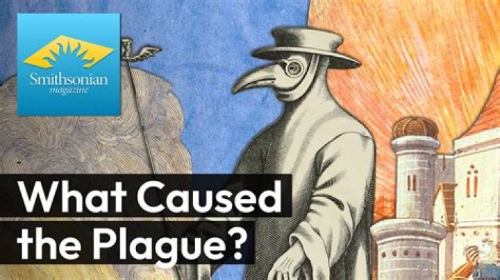 The First Plague And Its Impact