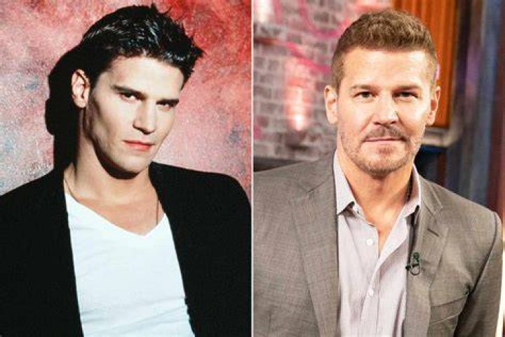 Unraveling The Life Of David Boreanaz's Brother