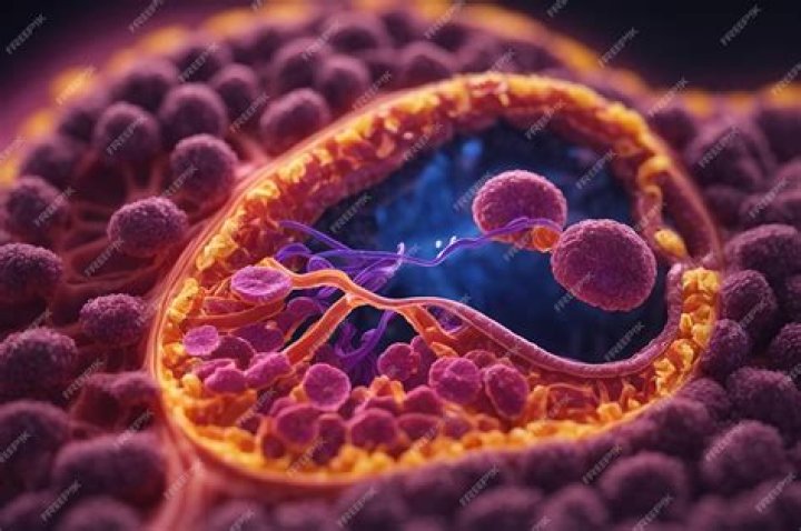 Unraveling The Secrets Of Life