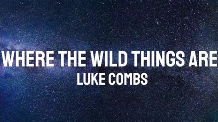 Where The Wild Things Are By Luke Combs: A True Story?